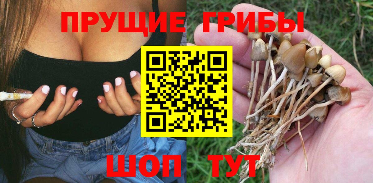 Галлюциногенные грибы Cubensis  Вход с VPN  Нефтекамск 